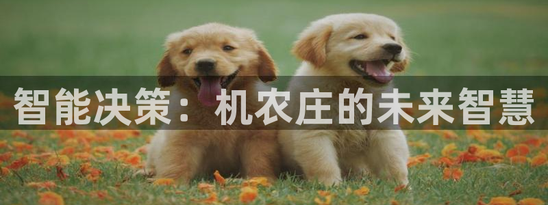 天辰娱乐连接